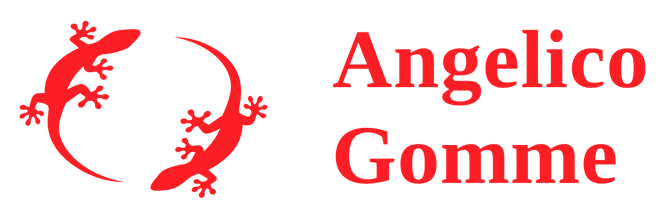 Angelico Gomme — gommista a Roma
